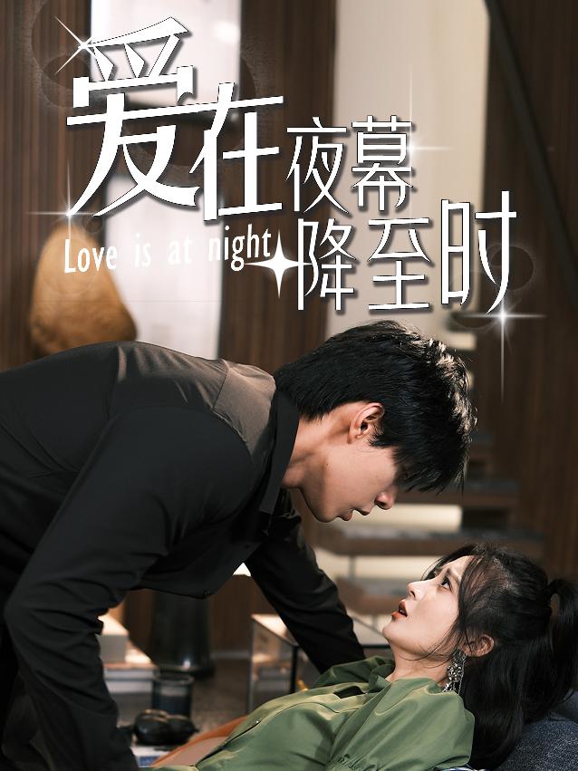 愛(ài)在夜幕降至?xí)r(全集)