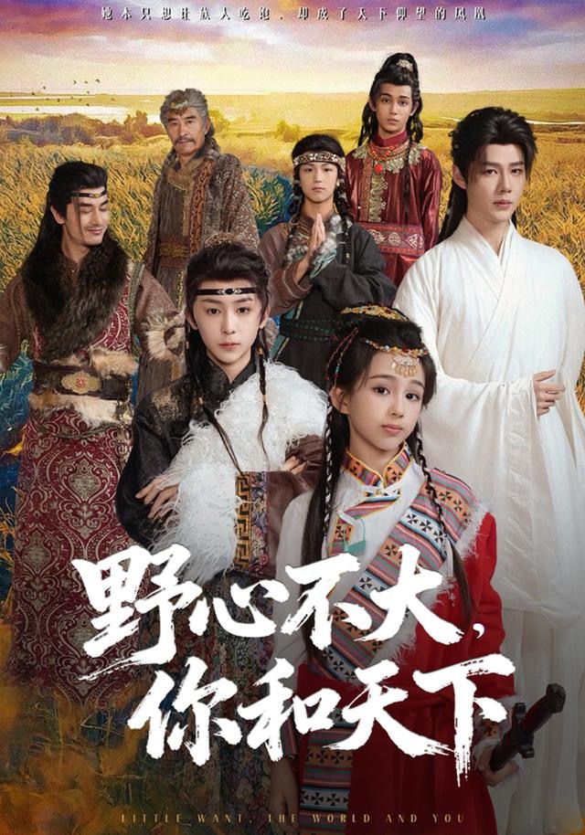 野心不大，你和天下(全集)