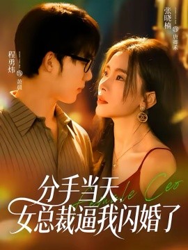 分手當(dāng)天，女總裁逼我閃婚了(全集)